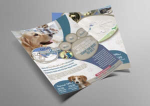 Scruffs 2 Crufts Dog Grooming Flyer Design