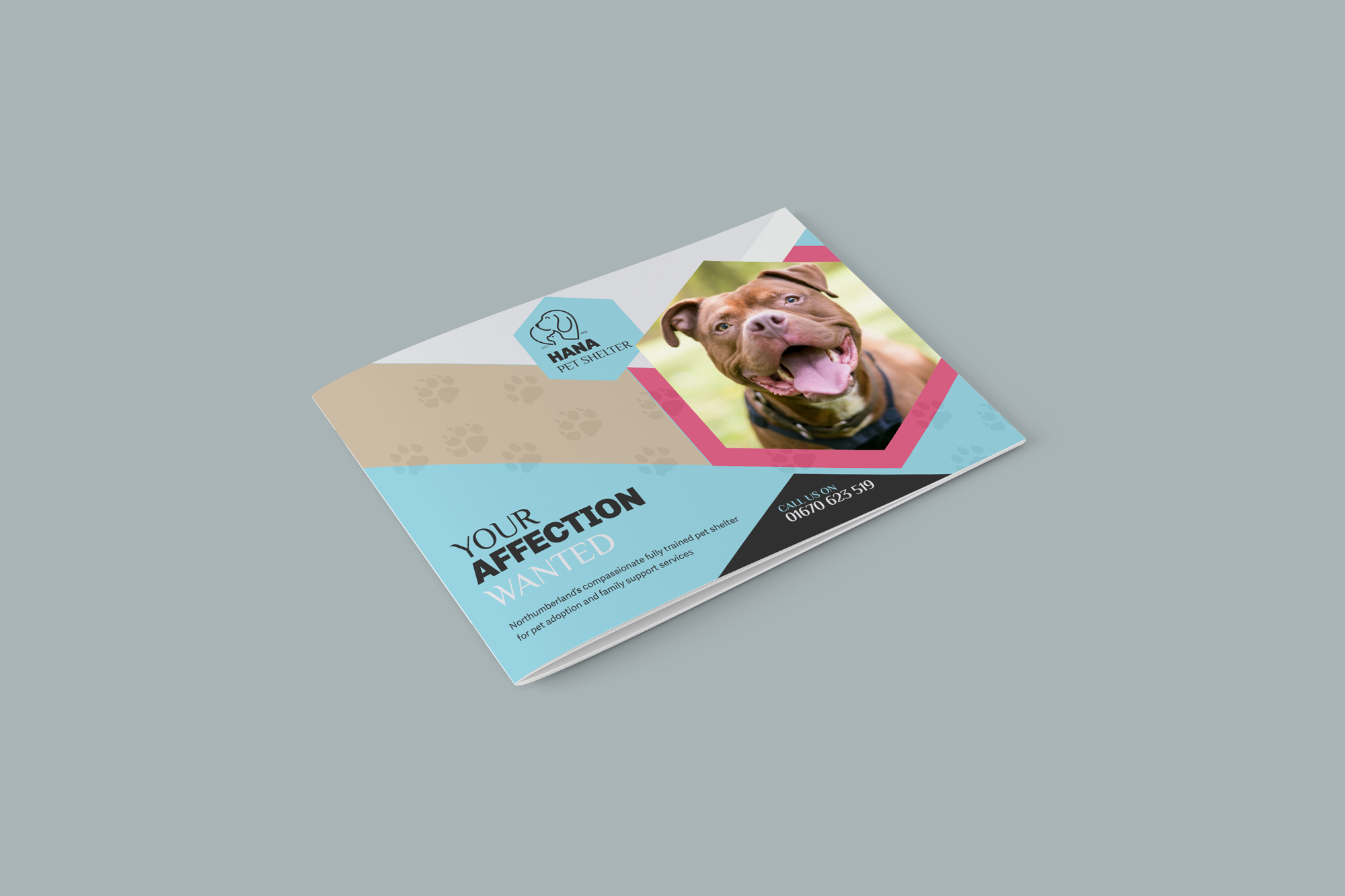 Hana Pet Shelter Brochure Design